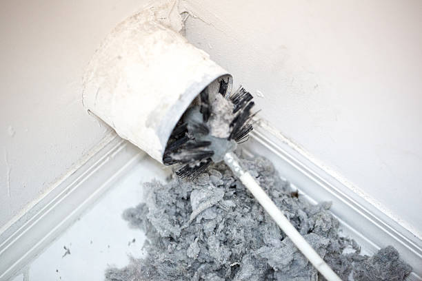Best HVAC Duct Inspection Services  in Lovington, NM